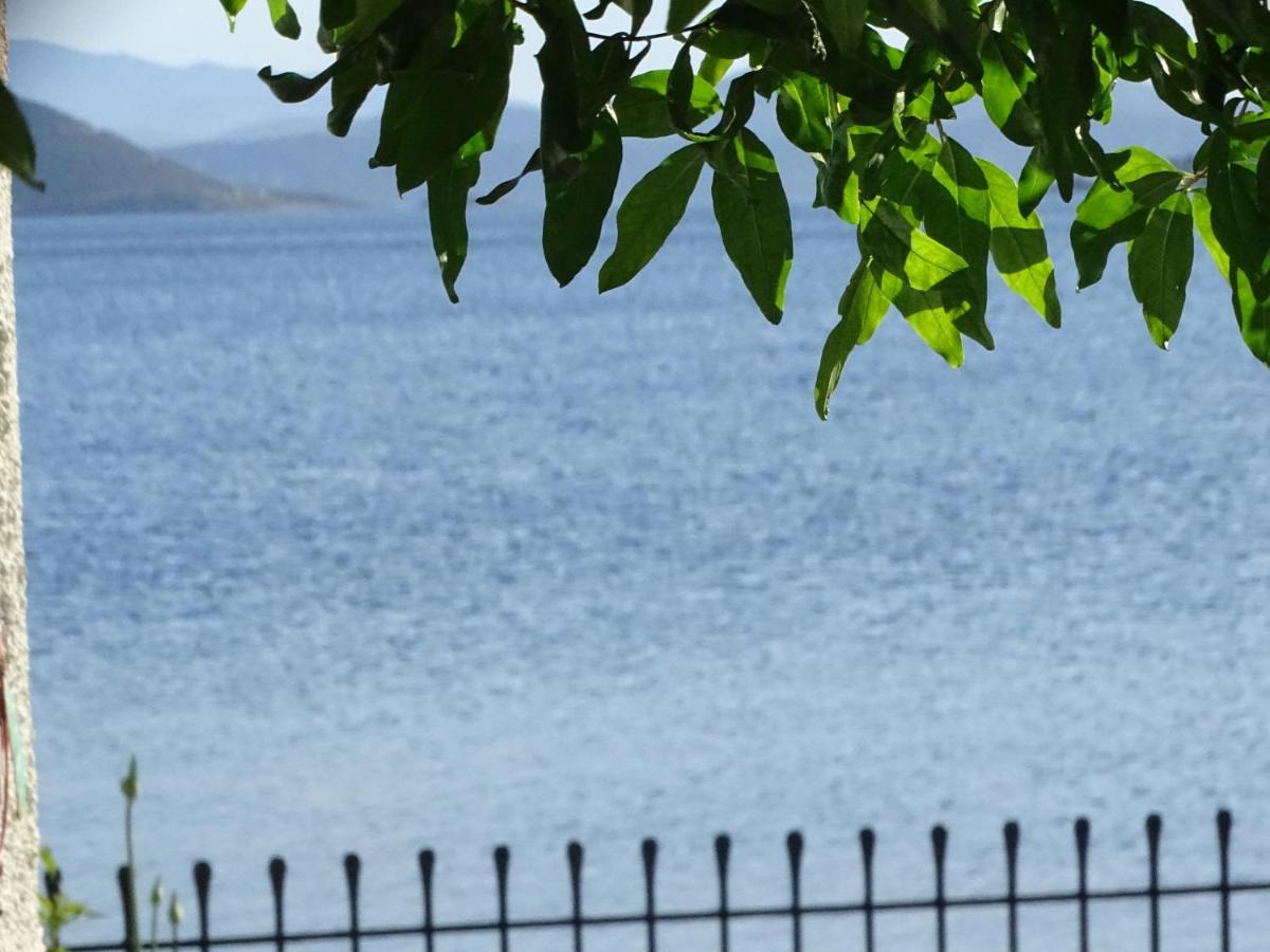 Blue Dreams Guest House อัลมิโรโปตามอส ภายนอก รูปภาพ