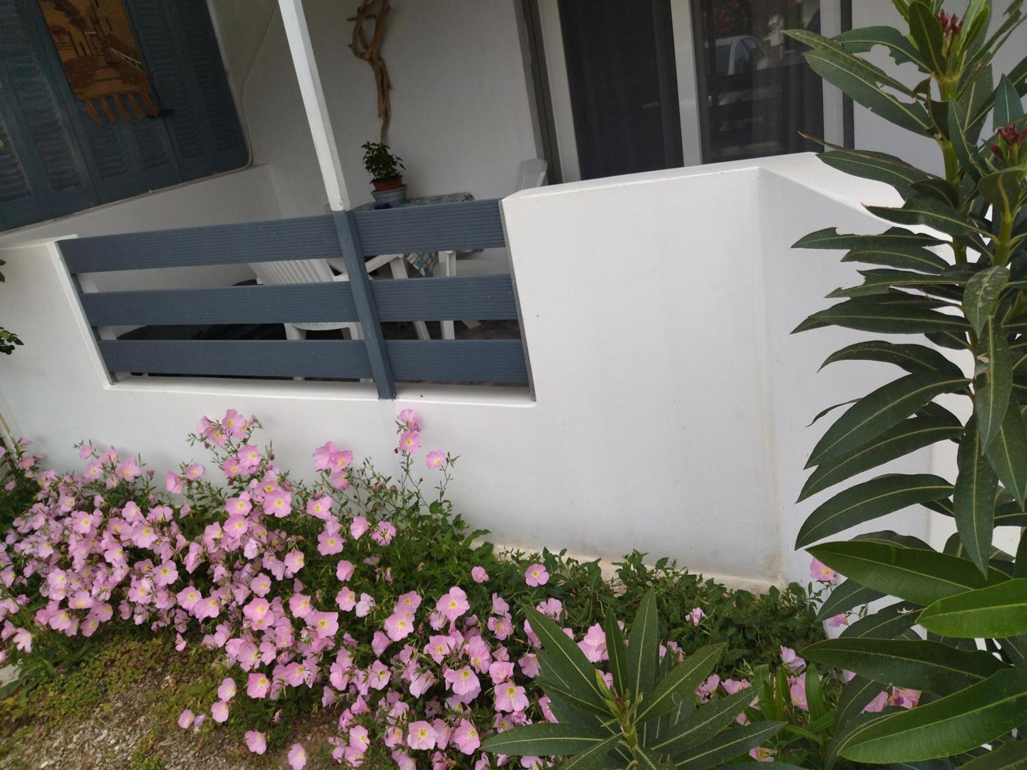 Blue Dreams Guest House อัลมิโรโปตามอส ห้อง รูปภาพ